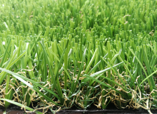 Landscaping---XTL3501