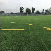 Southeast Asia customer install