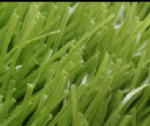 运动类草坪——XTS2501