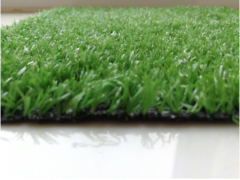 Landscaping—XTC1101