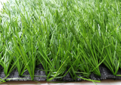 运动类草坪——XTS2401